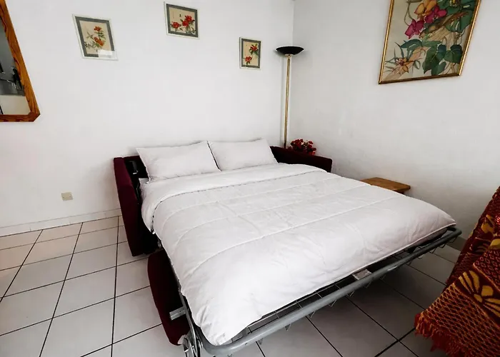 Argelès-sur-mer: T2, 4 Pers, Loggia, Parking, Piscine - Fr-1-309-499 Argelès-sur-Mer